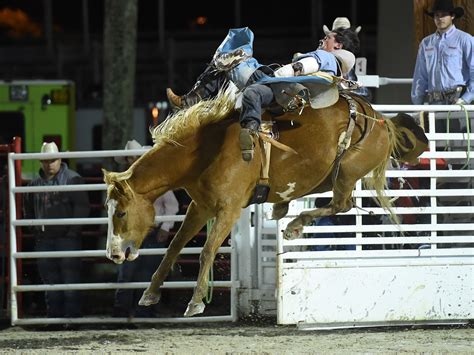 Rodeo this weekend near me - June 29 - July 1 at 7PM with fireworks. July 2 at 2PM. (Gates open 2 hours prior to each rodeo) Tickets are available at the rodeo. 2023 Rodeo Dates. This Fourth of July …